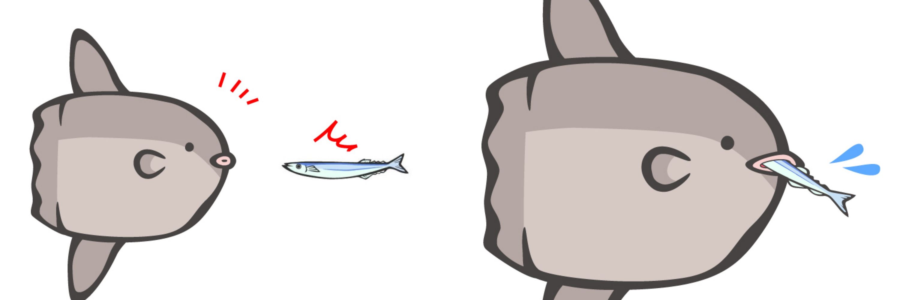 Fe(えふいー)