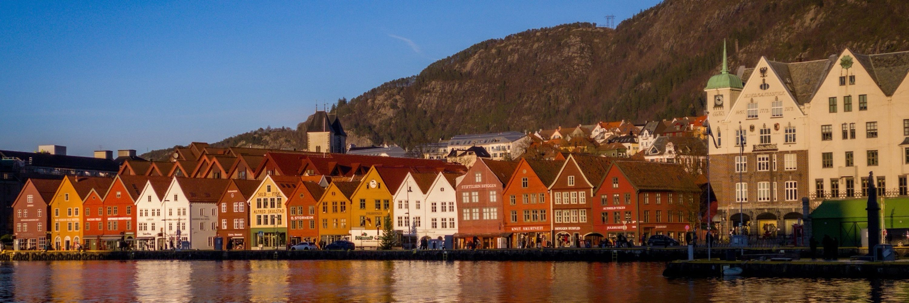 Tor Berg