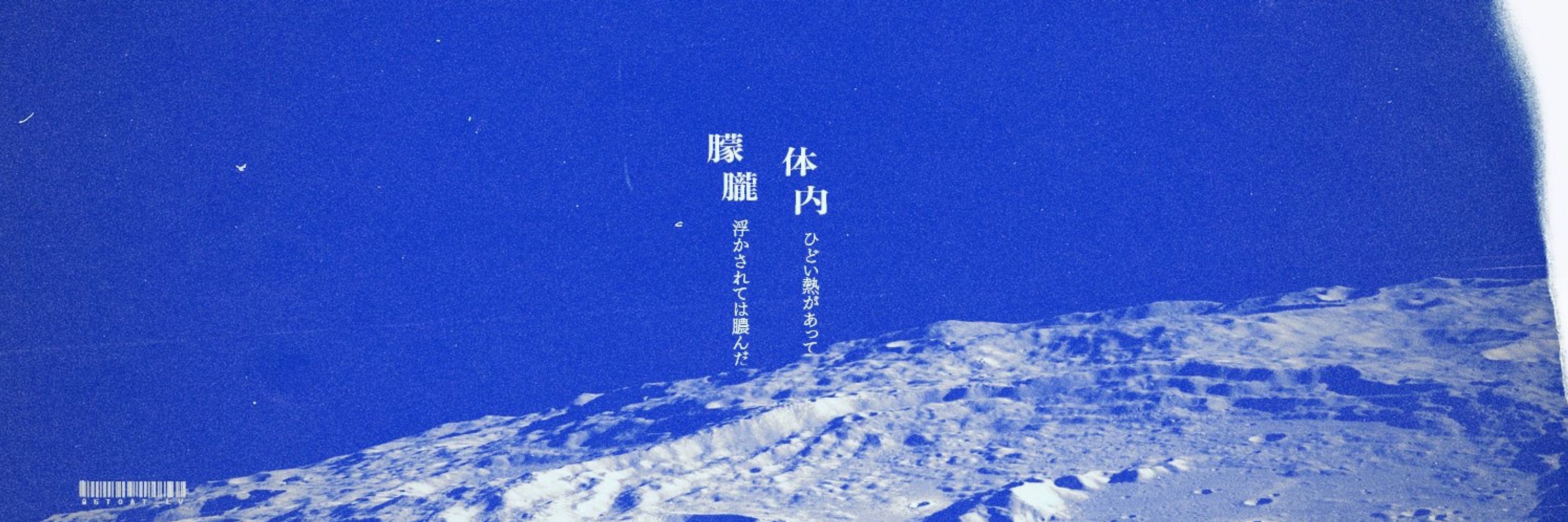 強奪チキン珍道中