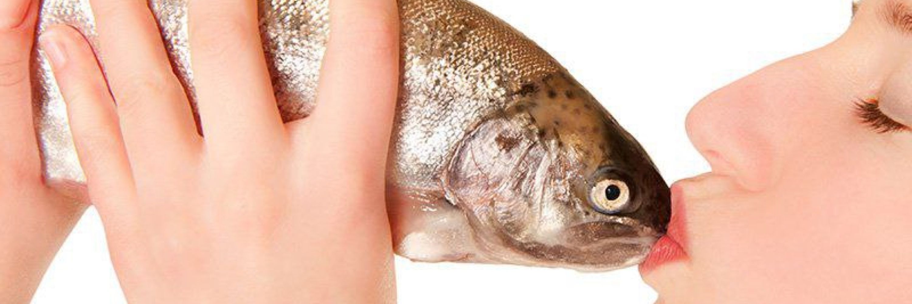Ide (fish)