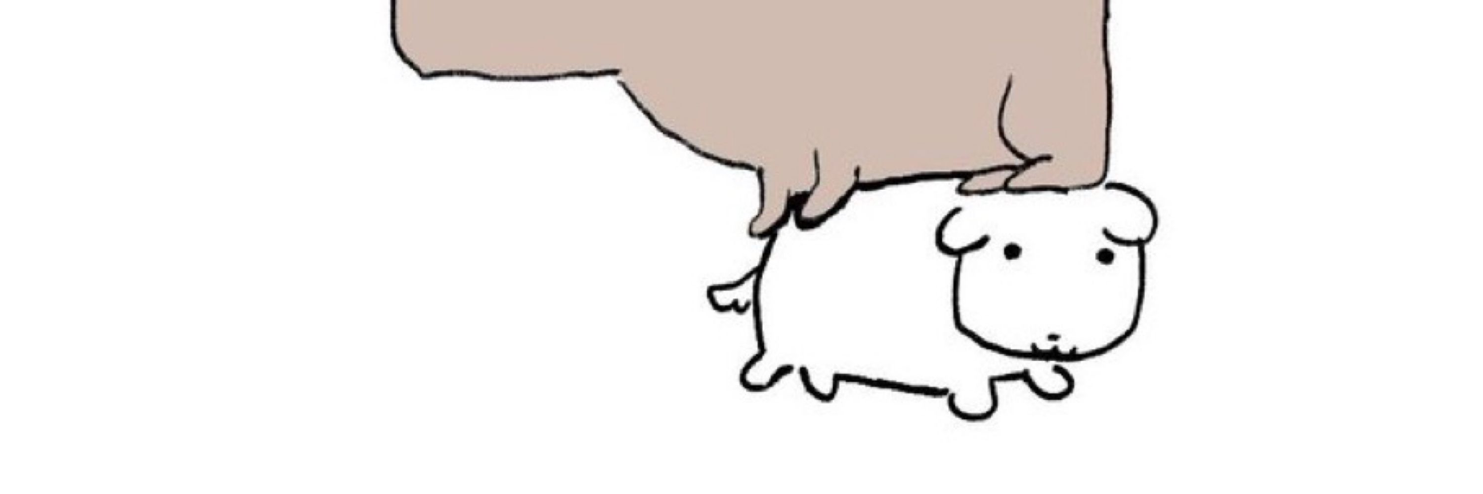 짬짬