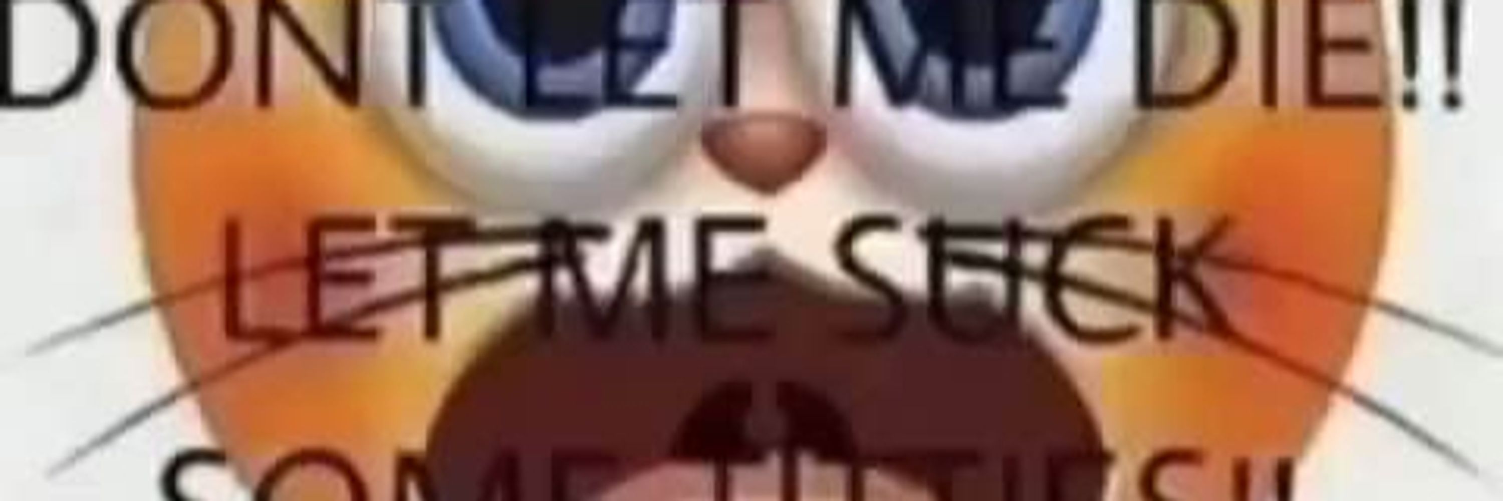 Tapeworm