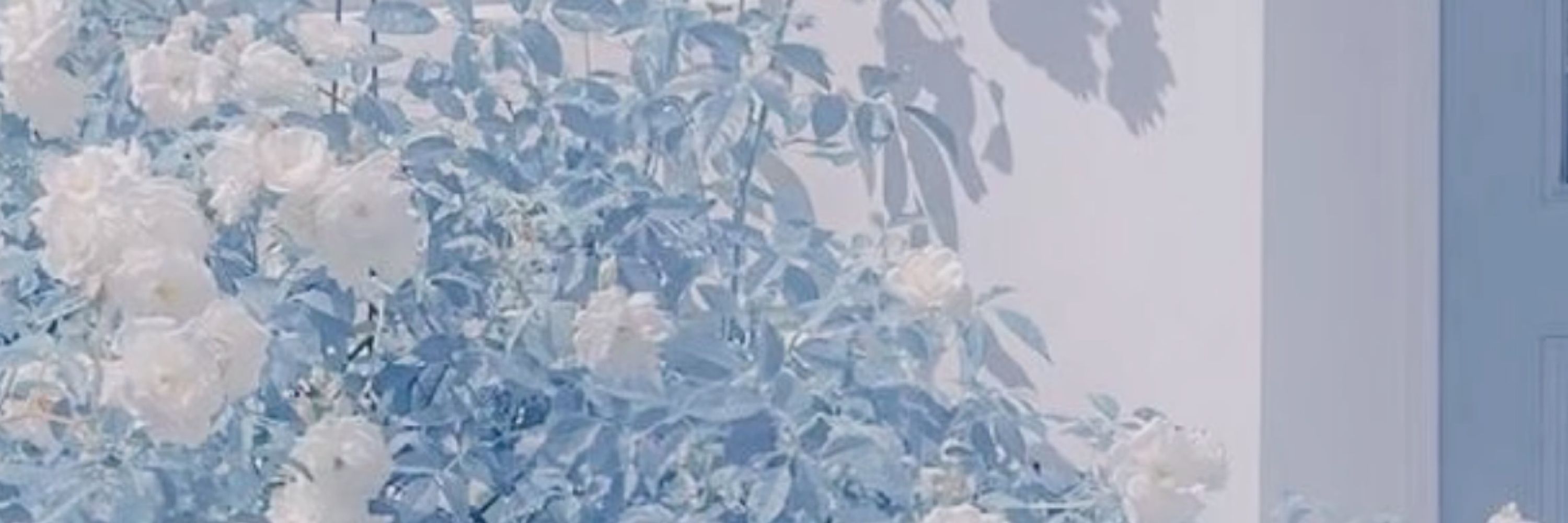 린