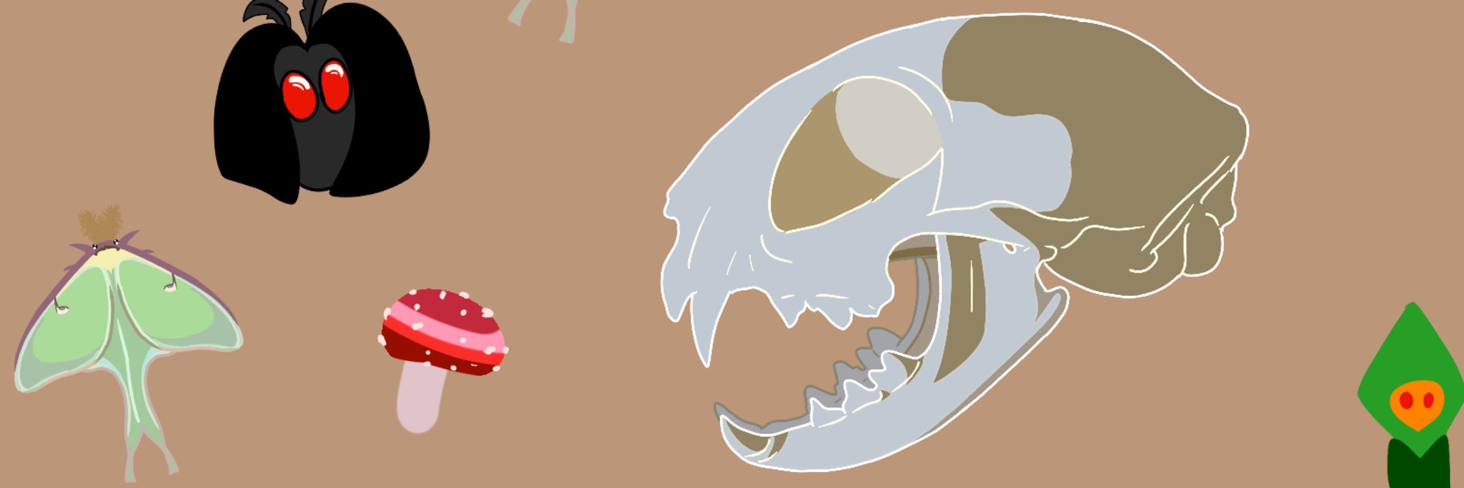 Cryptid Kitty Creations