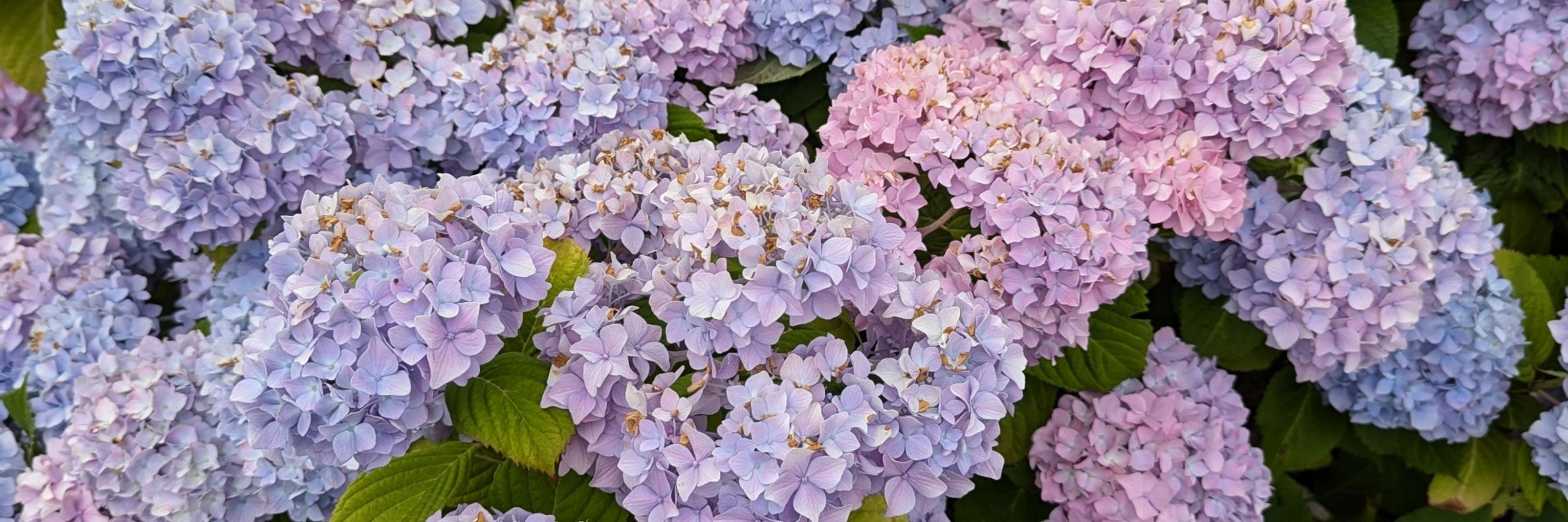 April