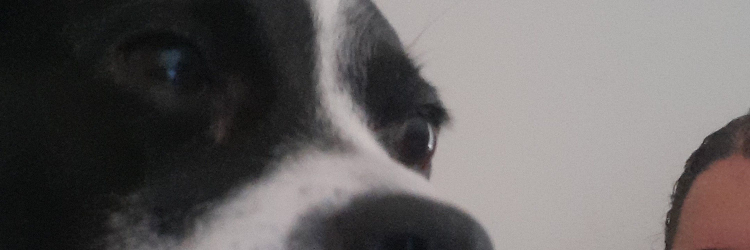 bella✨️