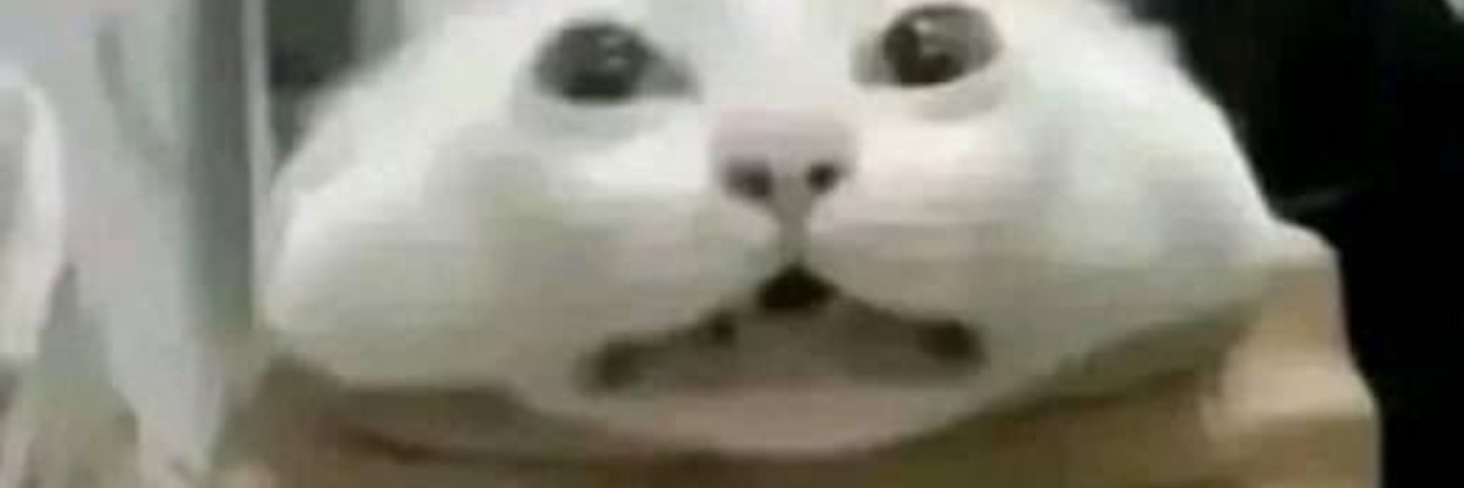 JustBatata