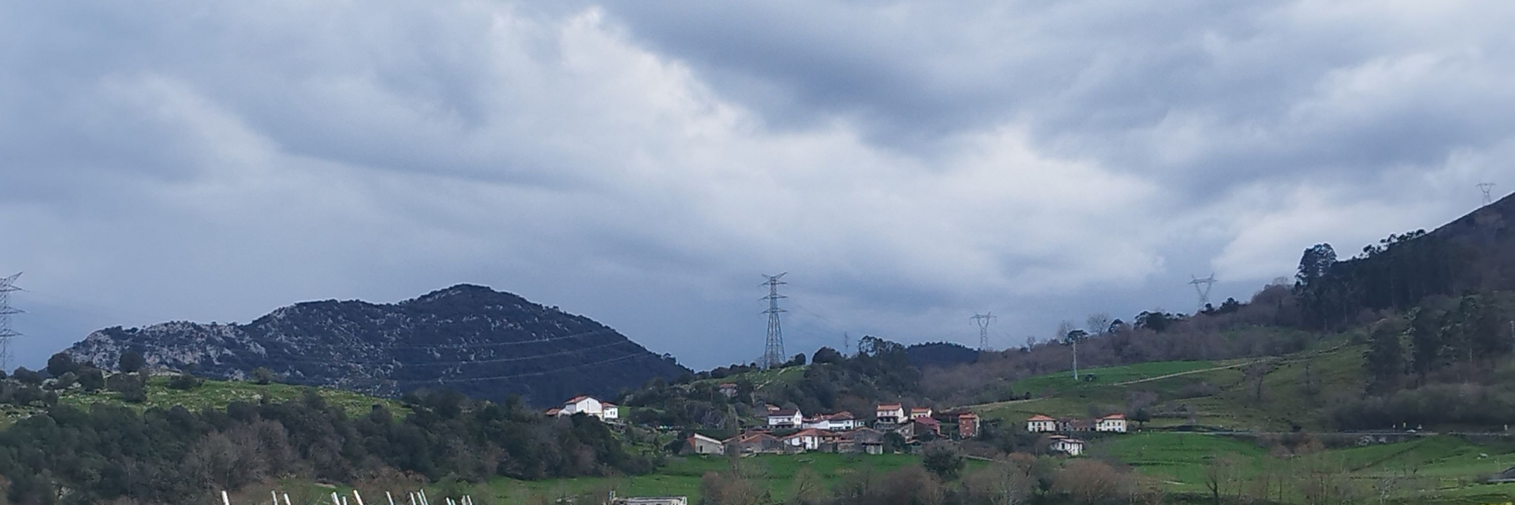 Carmen Ibarlucea P.