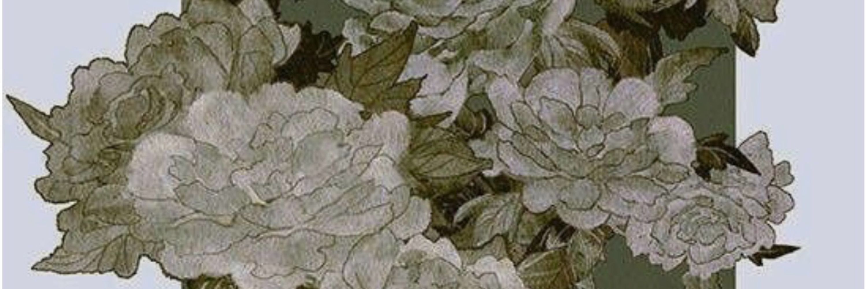 🧍🏼‍♀️