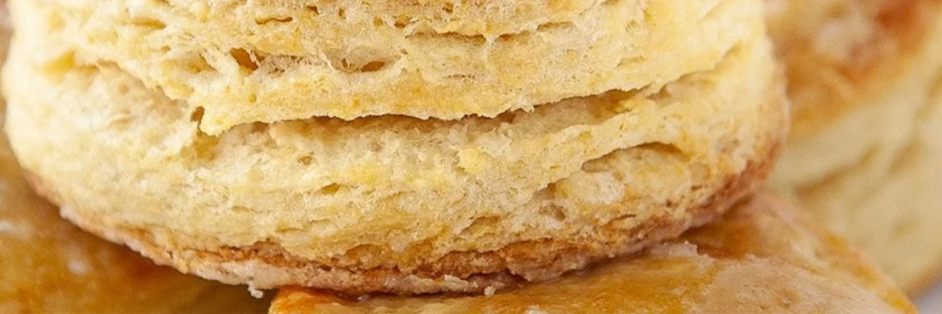 Taste the Biscuit