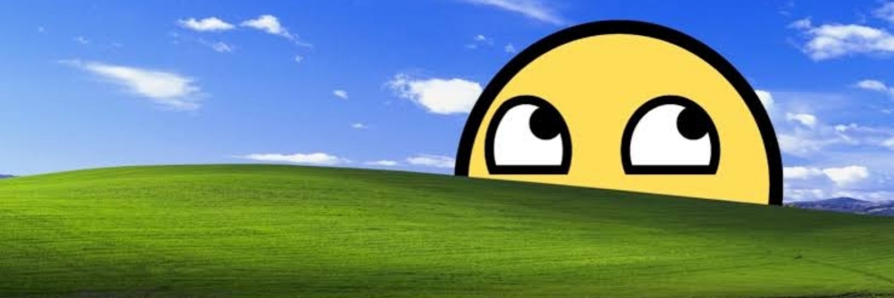 めすがき。