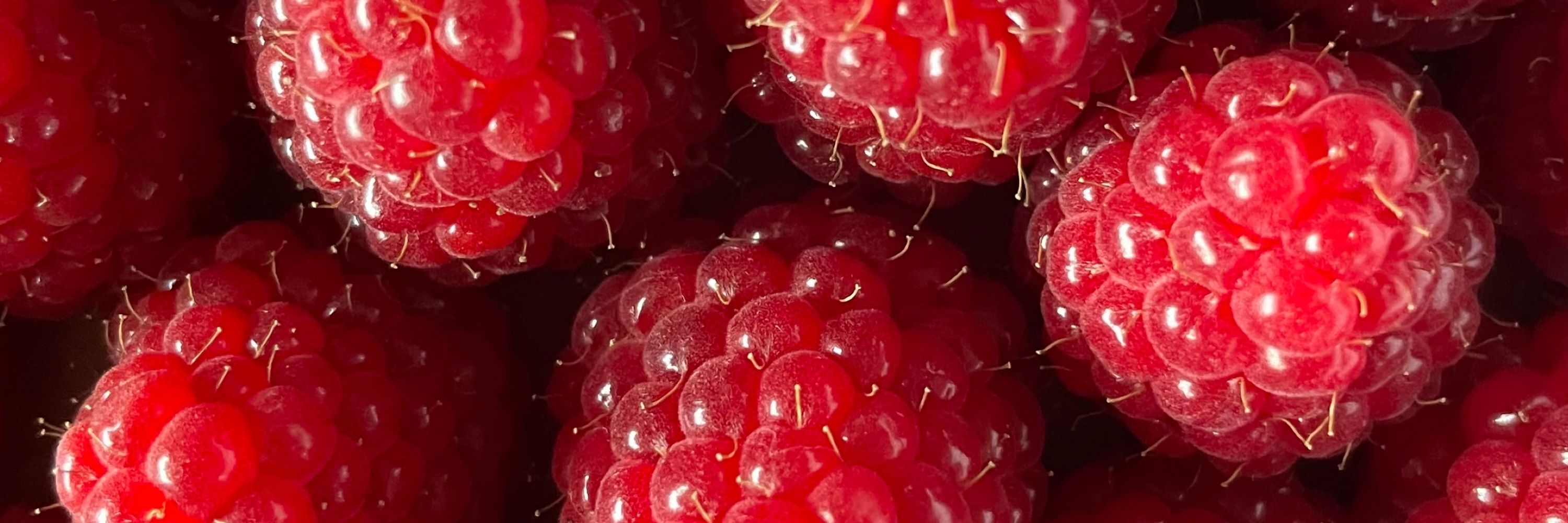 Mme Framboise