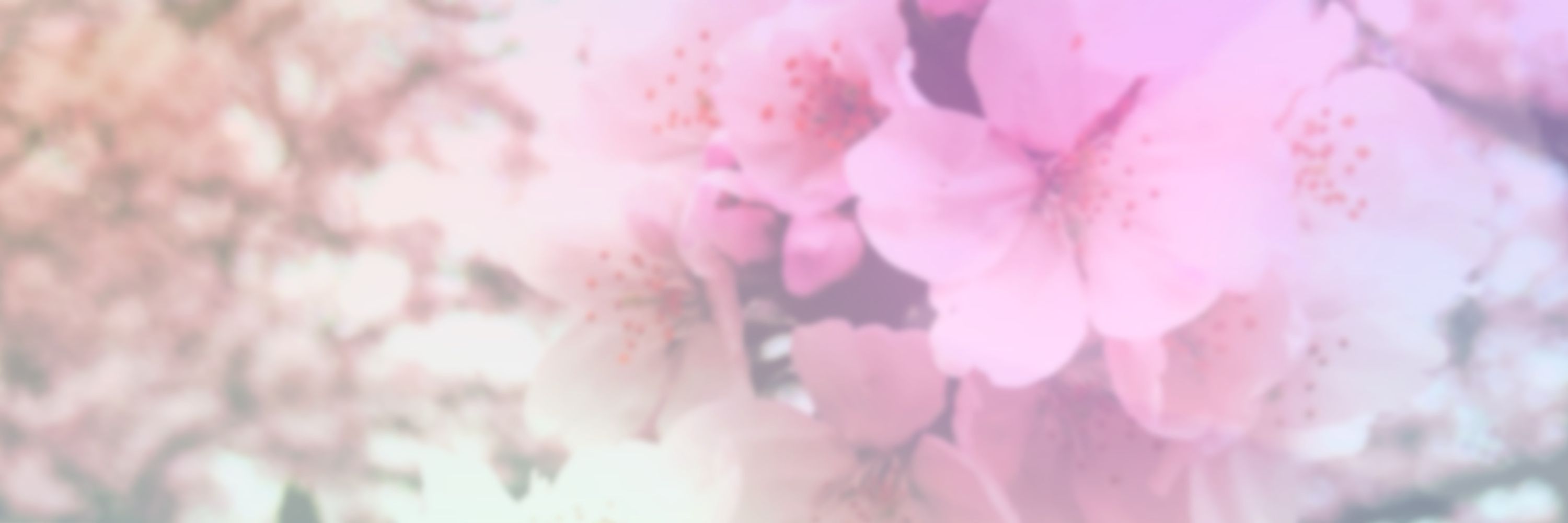 くろぴん❄️🌸🎧