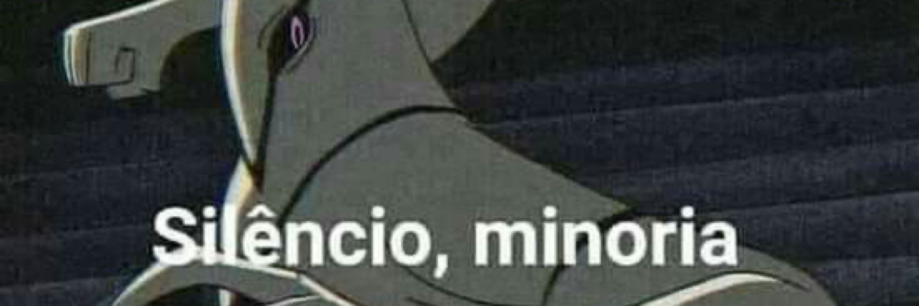 JIREN FLAMENGUISTA