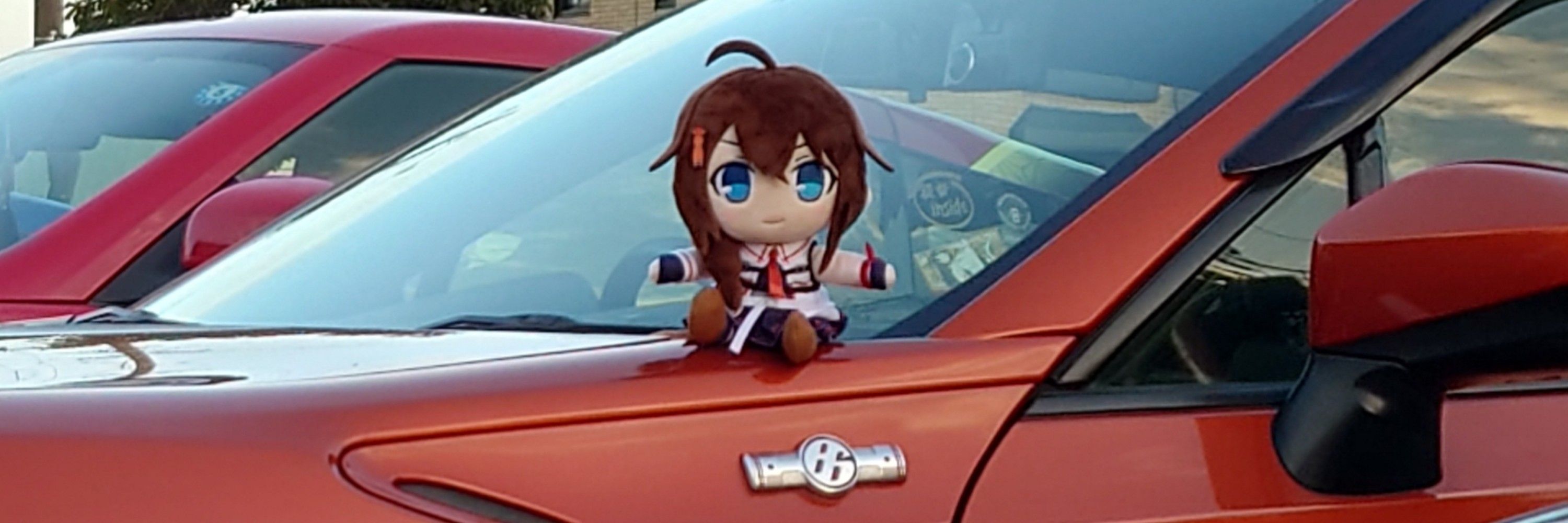 シャモニス
