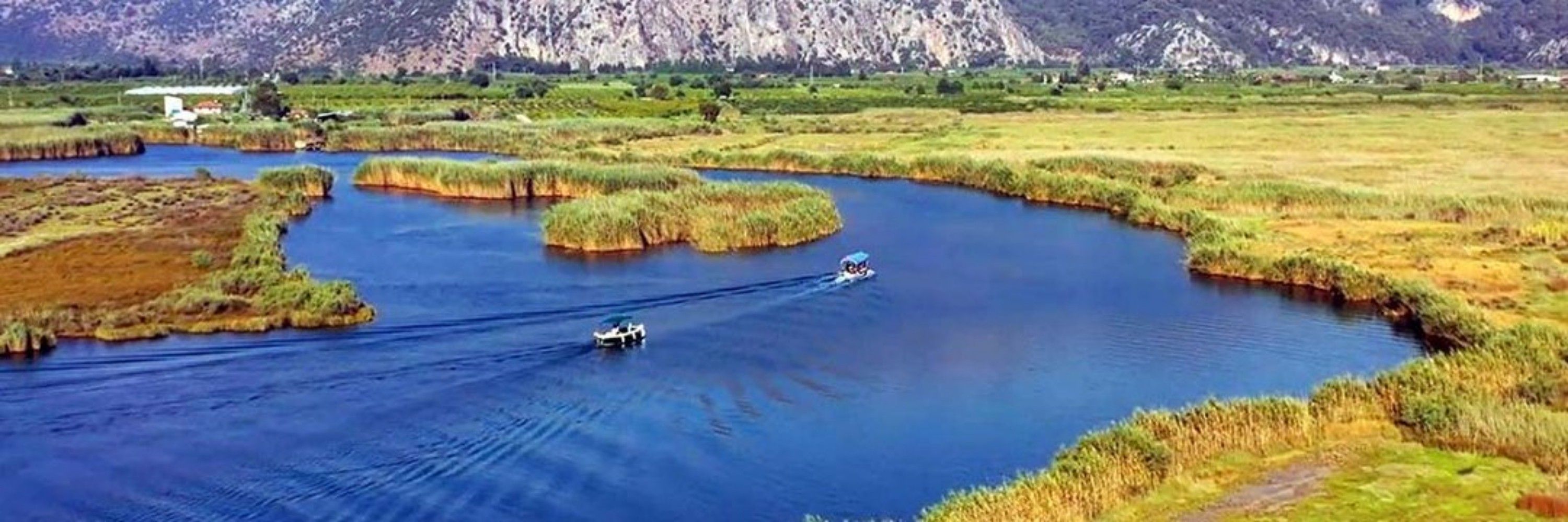 Zeki Balcı 