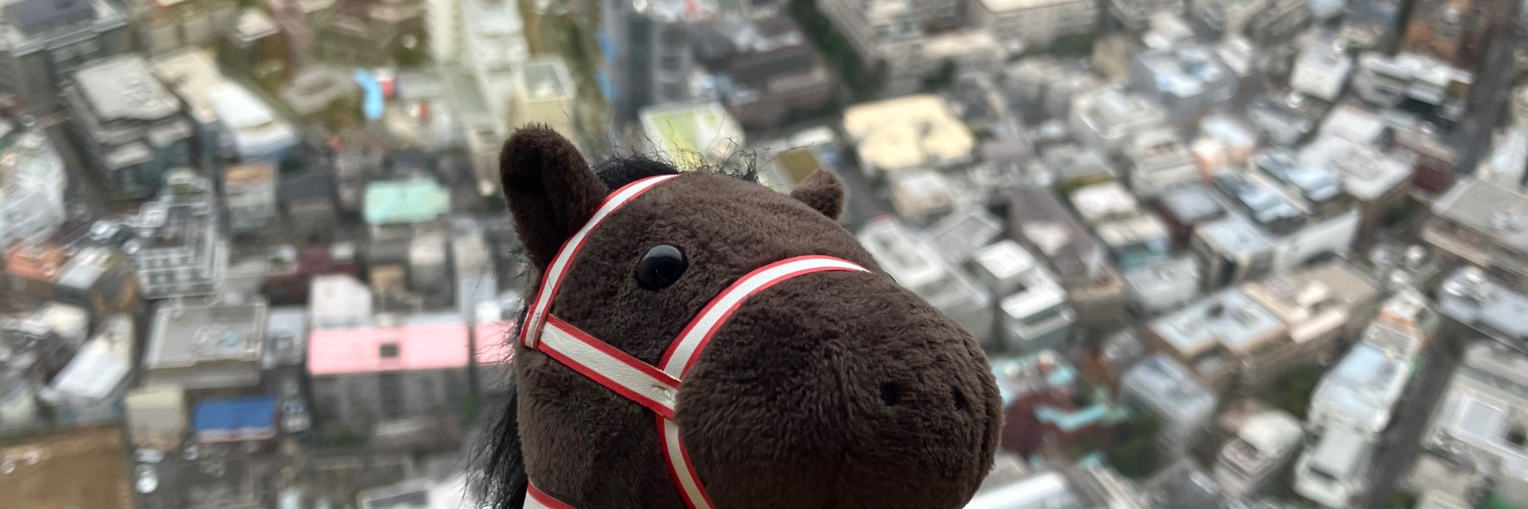 しぐ