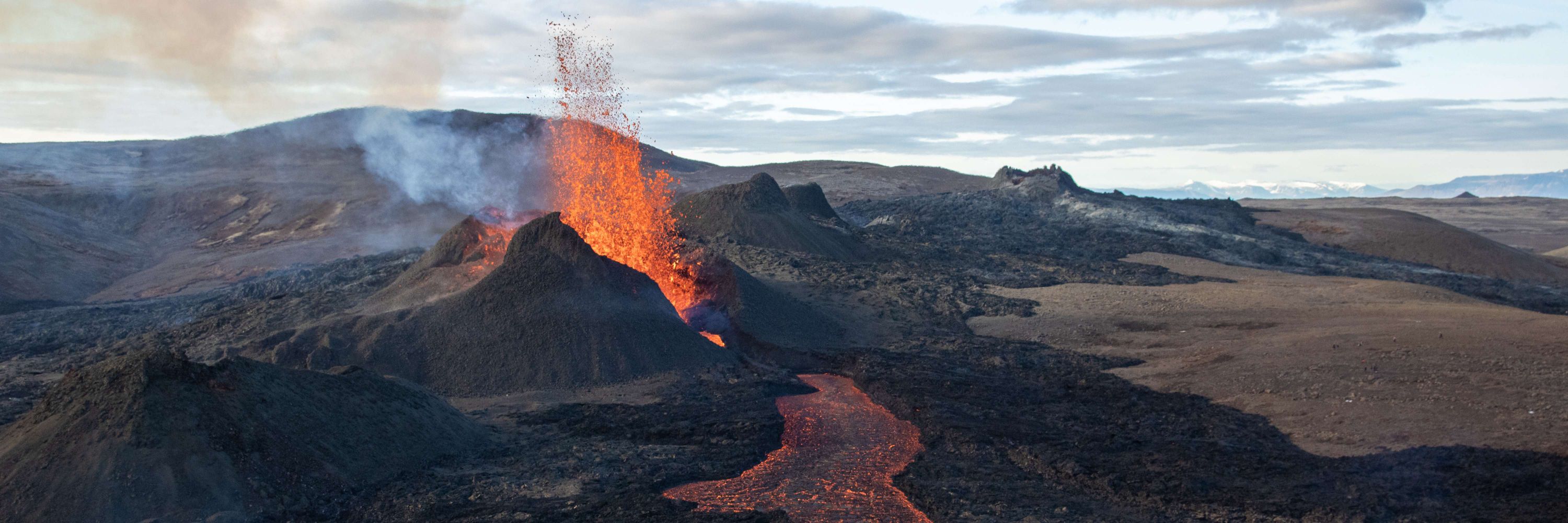 Dan Manns 🌋〓〓 