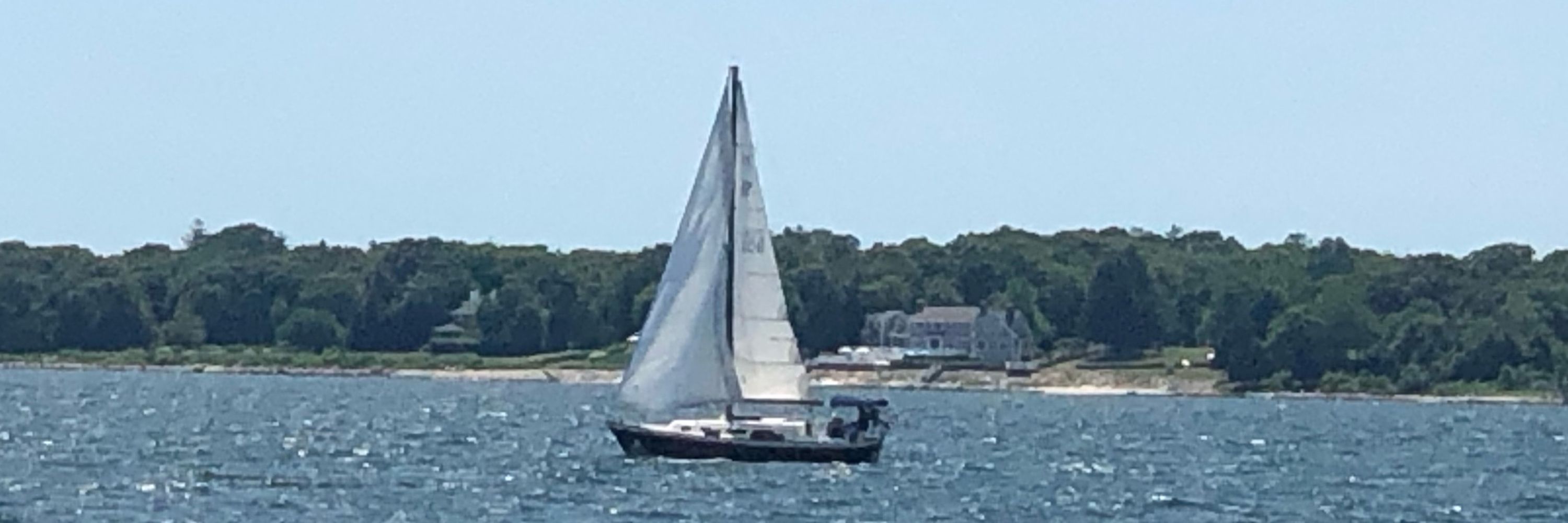 Silicon Pelican Entertainment