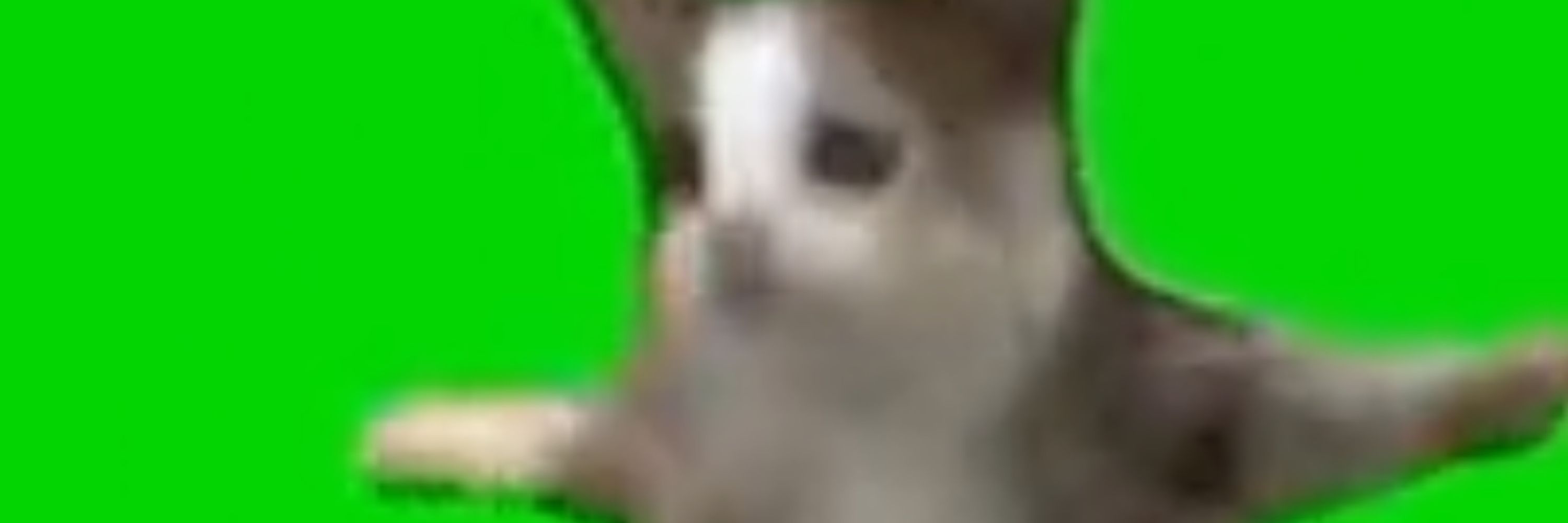 ゆきの