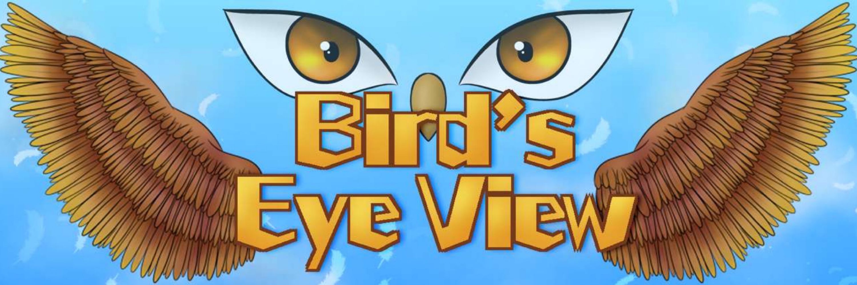 BirdsEyeView