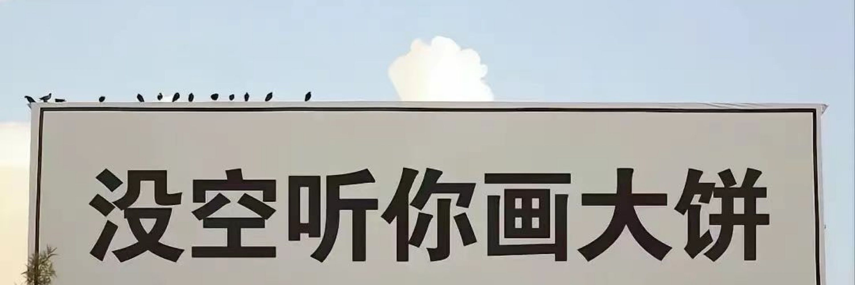 青闪x