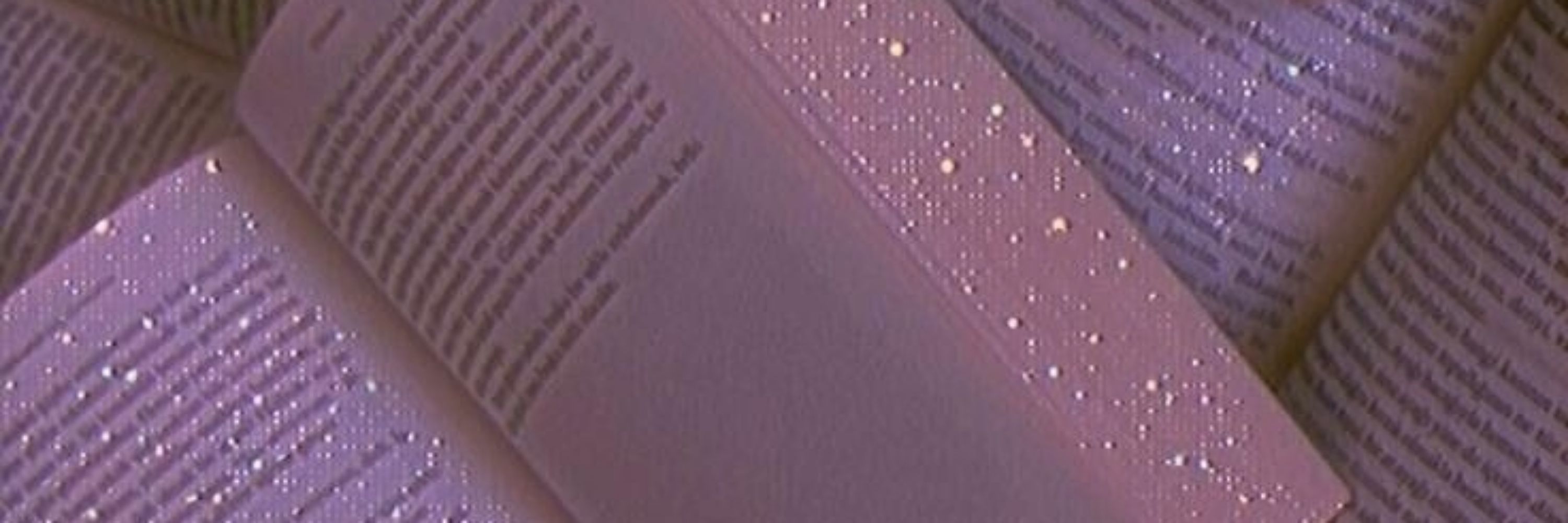 🧚‍♀️📚CₑCₑ📚🧚‍♀️