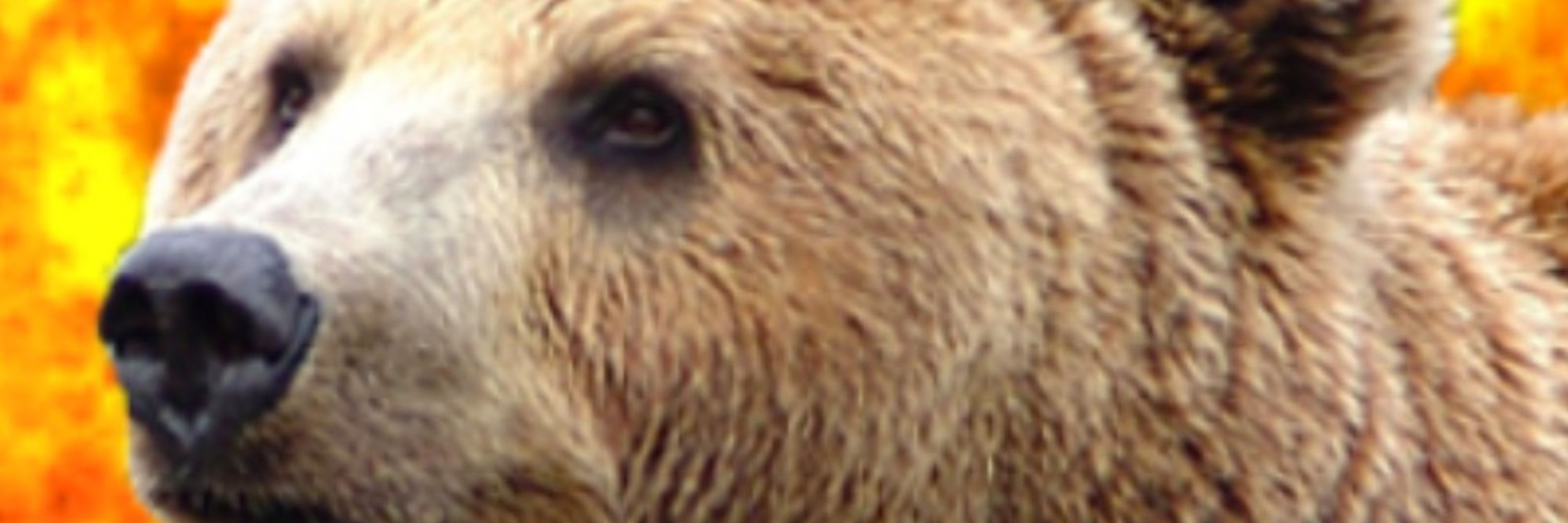 BangBear