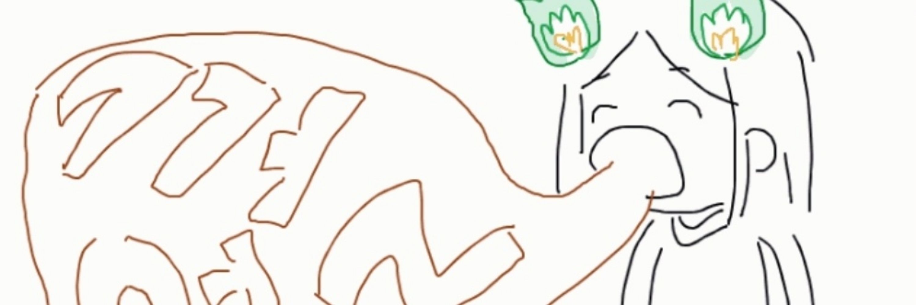 배추