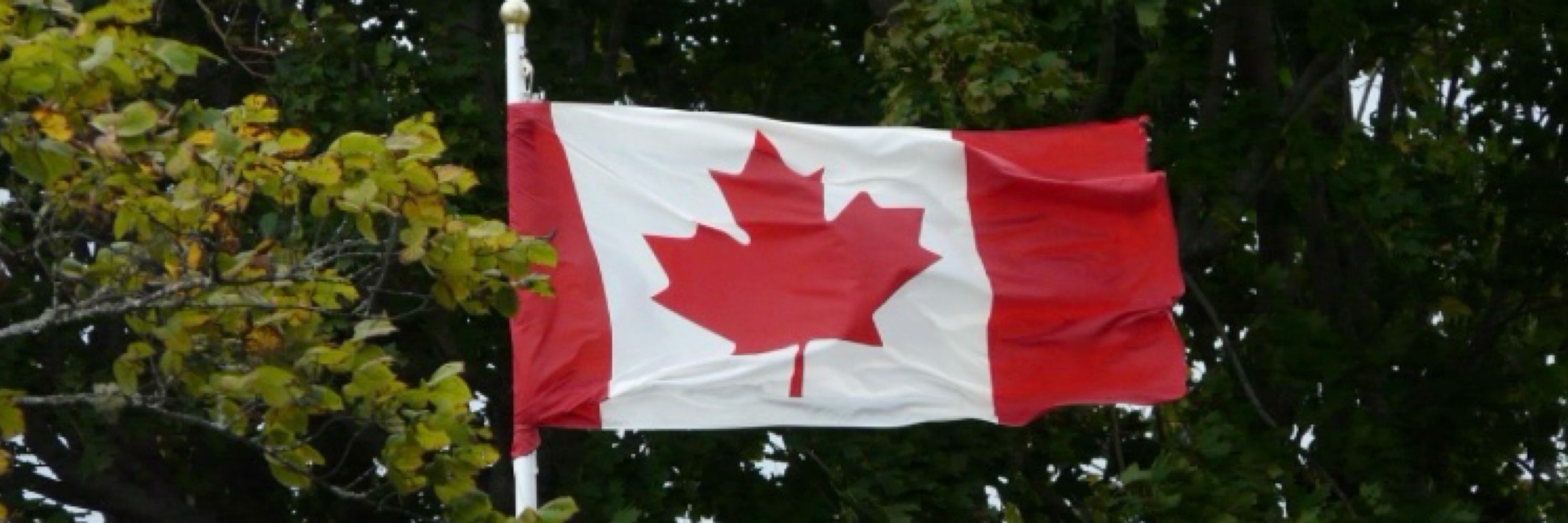 ☼ Lisa 🇨🇦 ☼