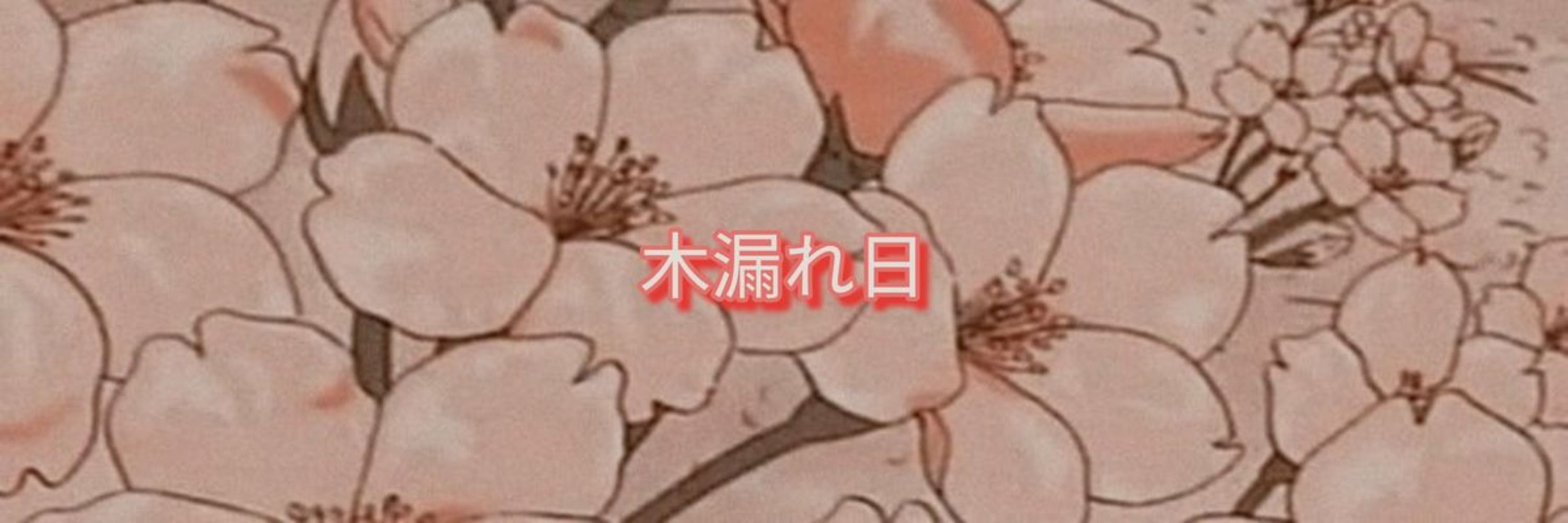 Sakura Kinomoto