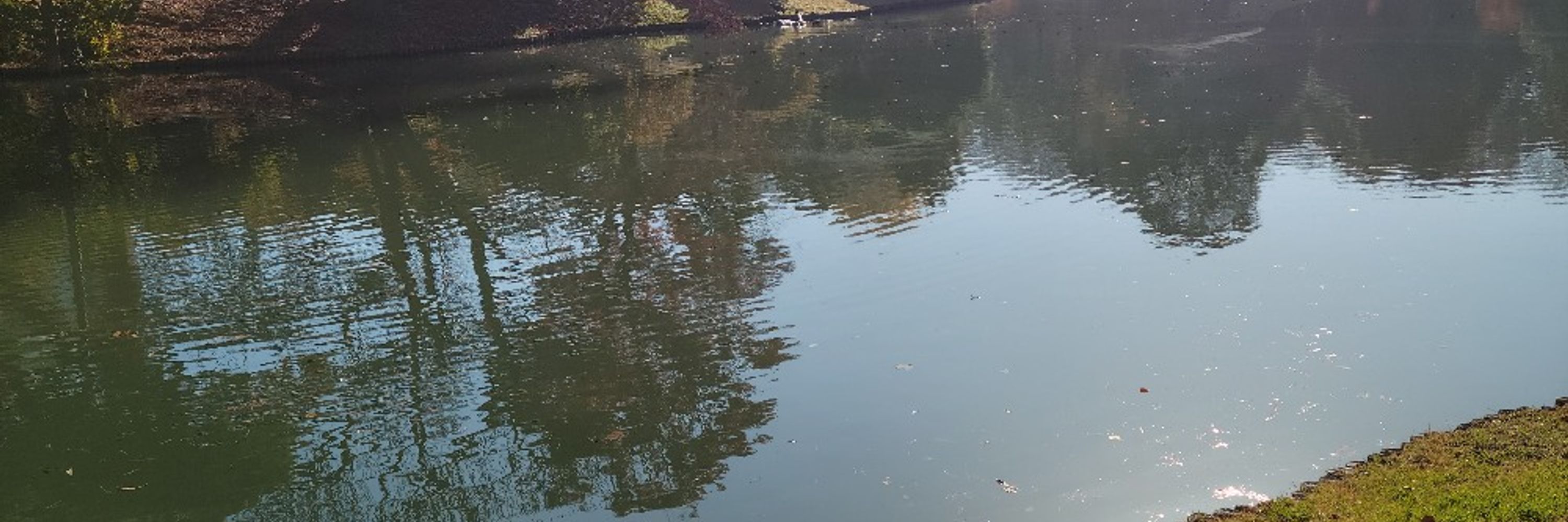 沖田🚣‍♂