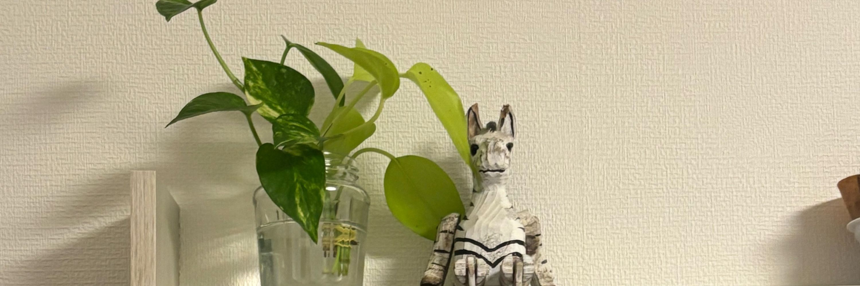 サンベタゾン