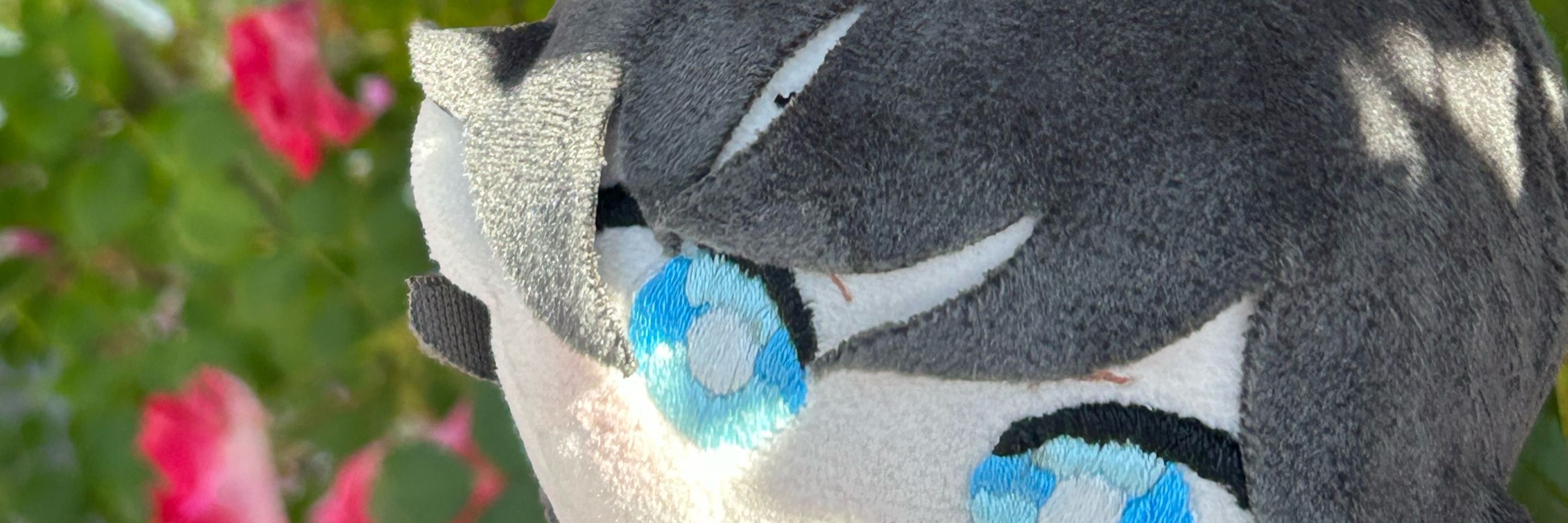 ヒイラギ