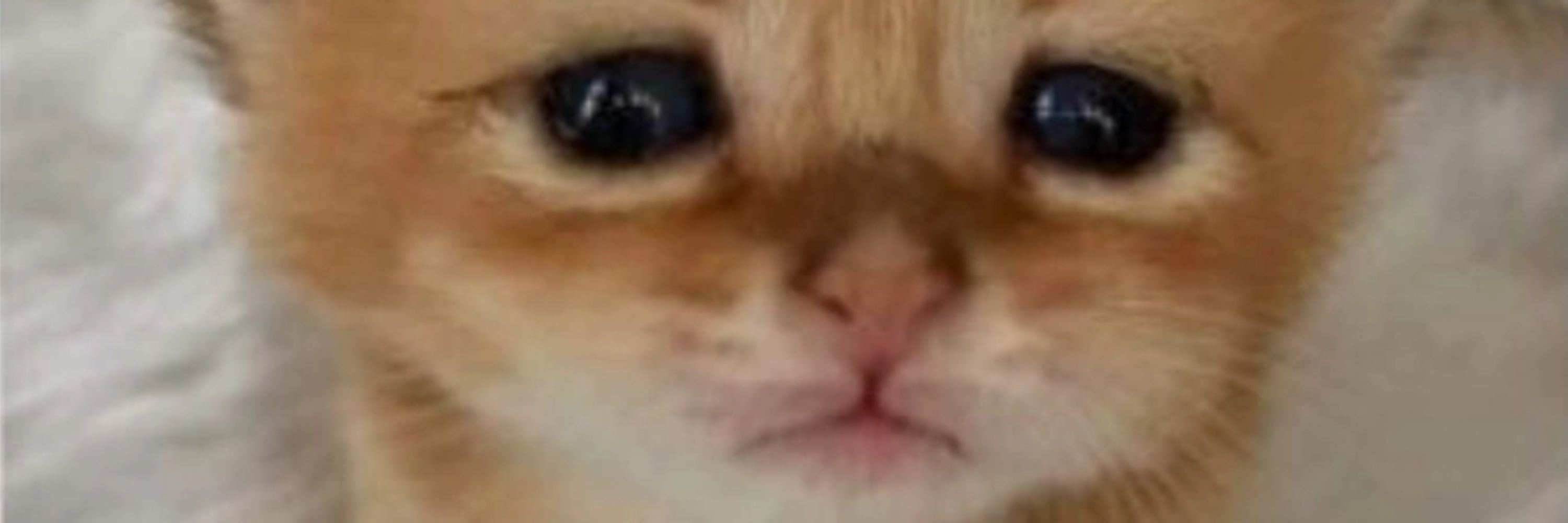 h w sorty