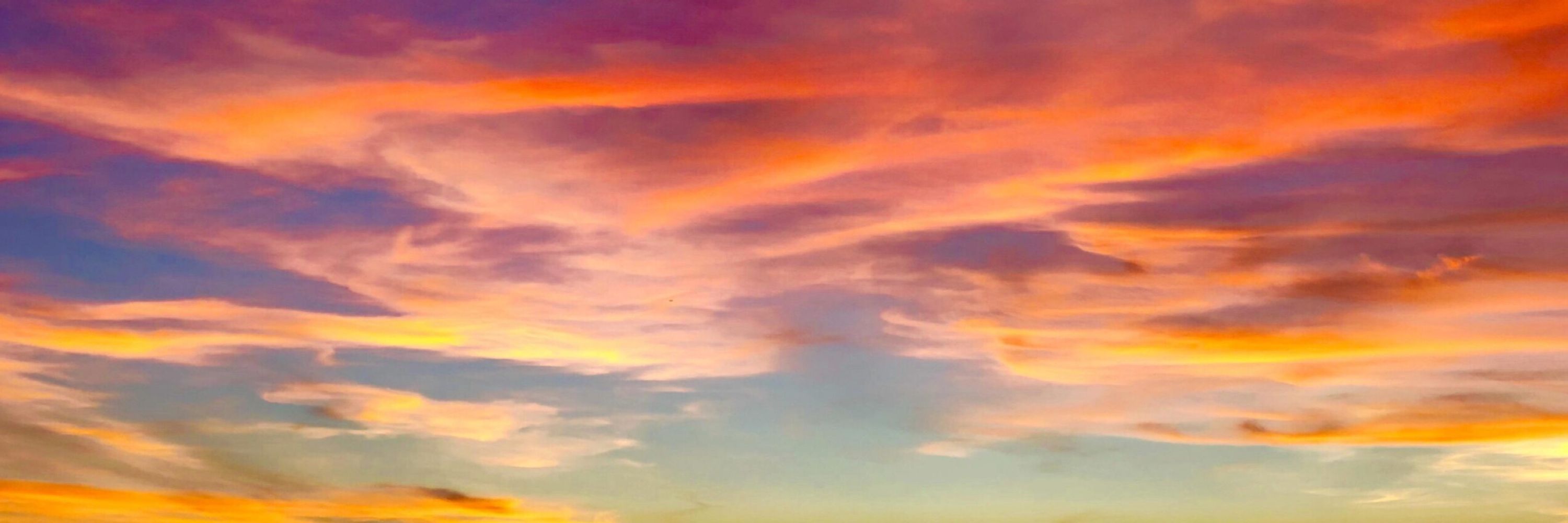 oz ☀︎