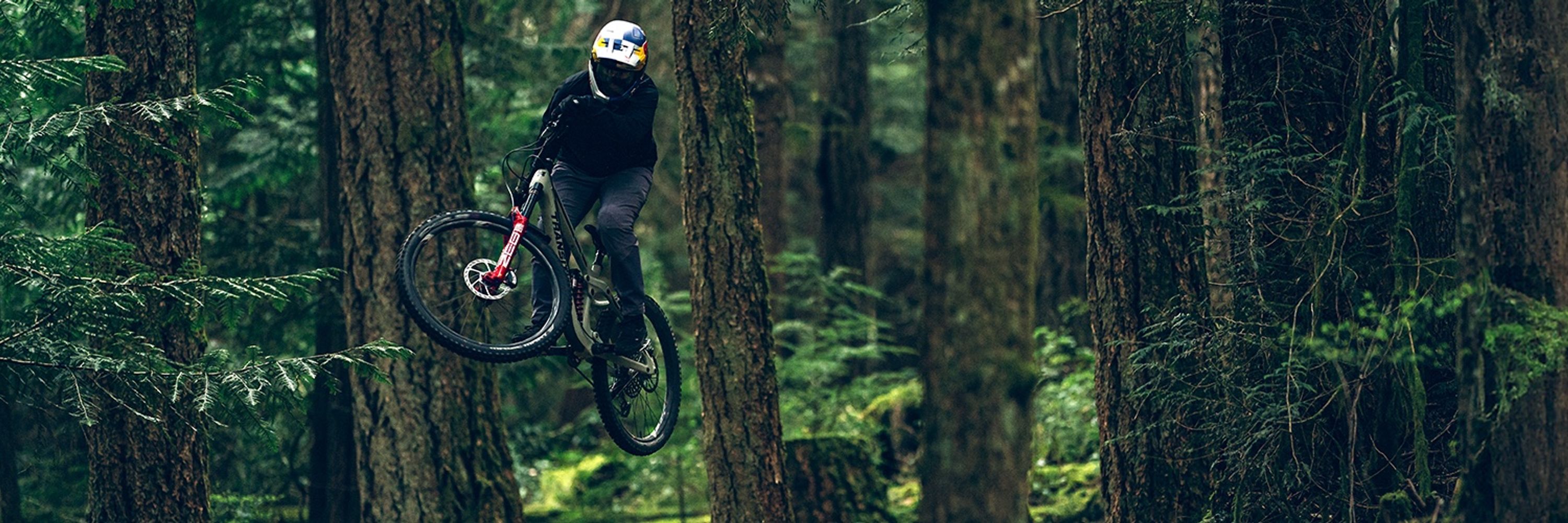 RockShox