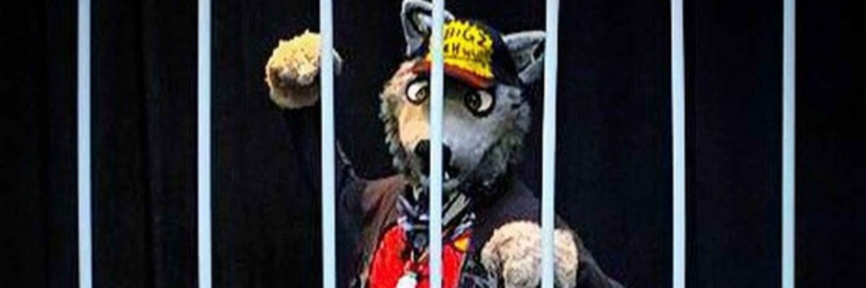 BigZ teh wuff!