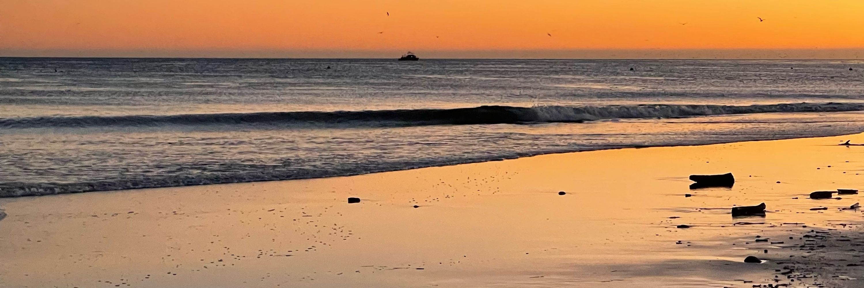 SaltyDreamer🌊🏖️🤙🏻🧉🩵