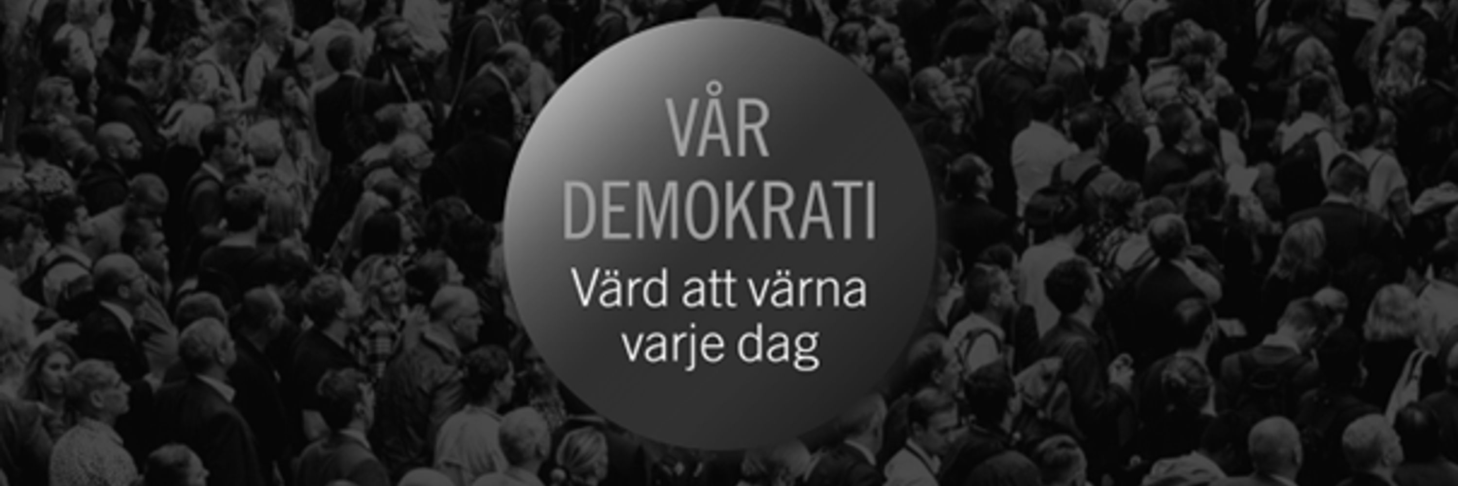 Anna Karin Wallberg