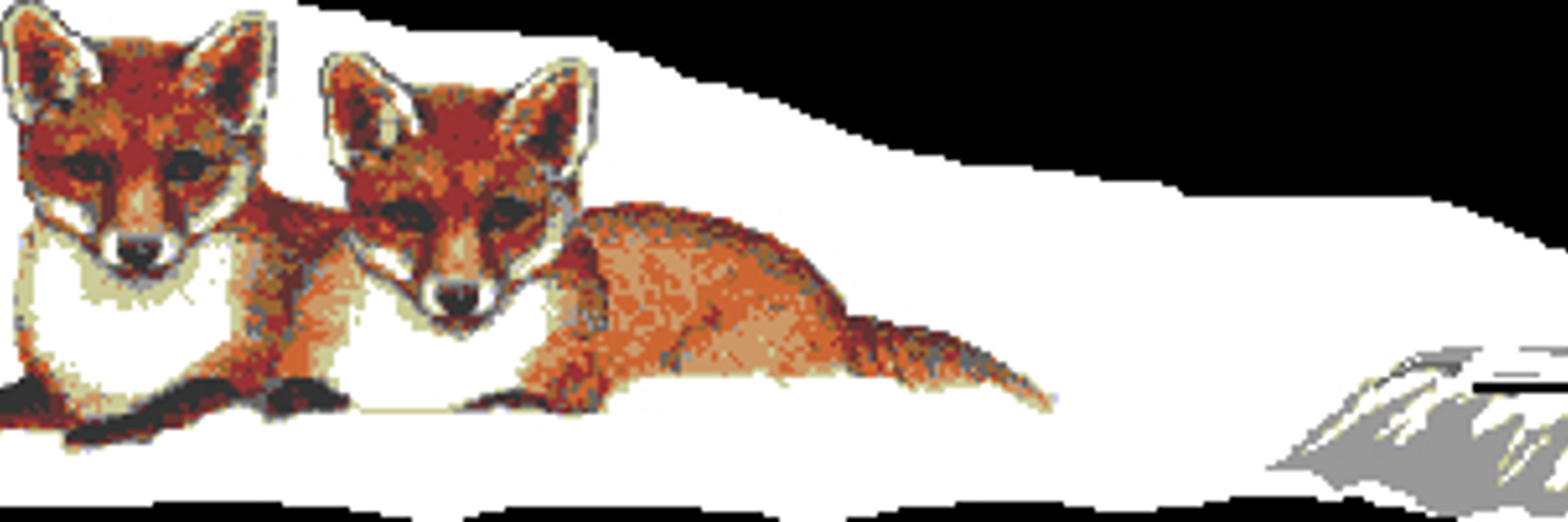 Foxessa