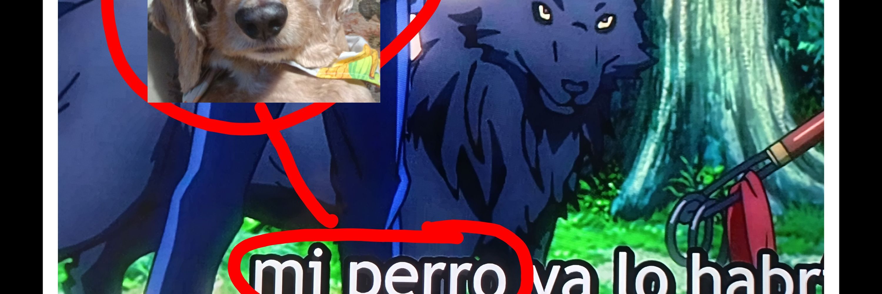 Mi Perro