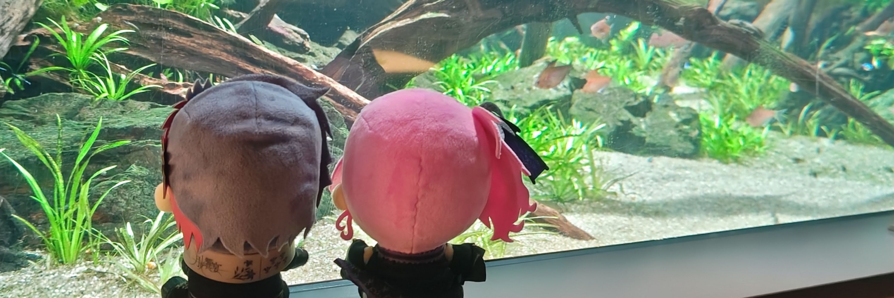 菜の