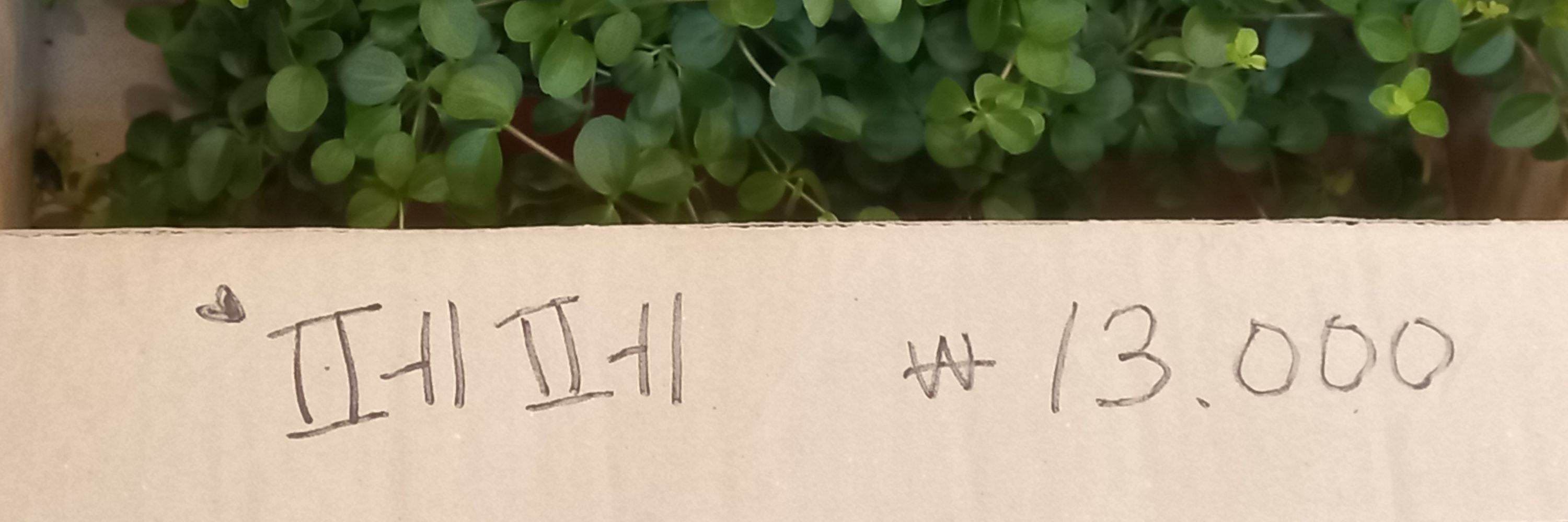 폐리