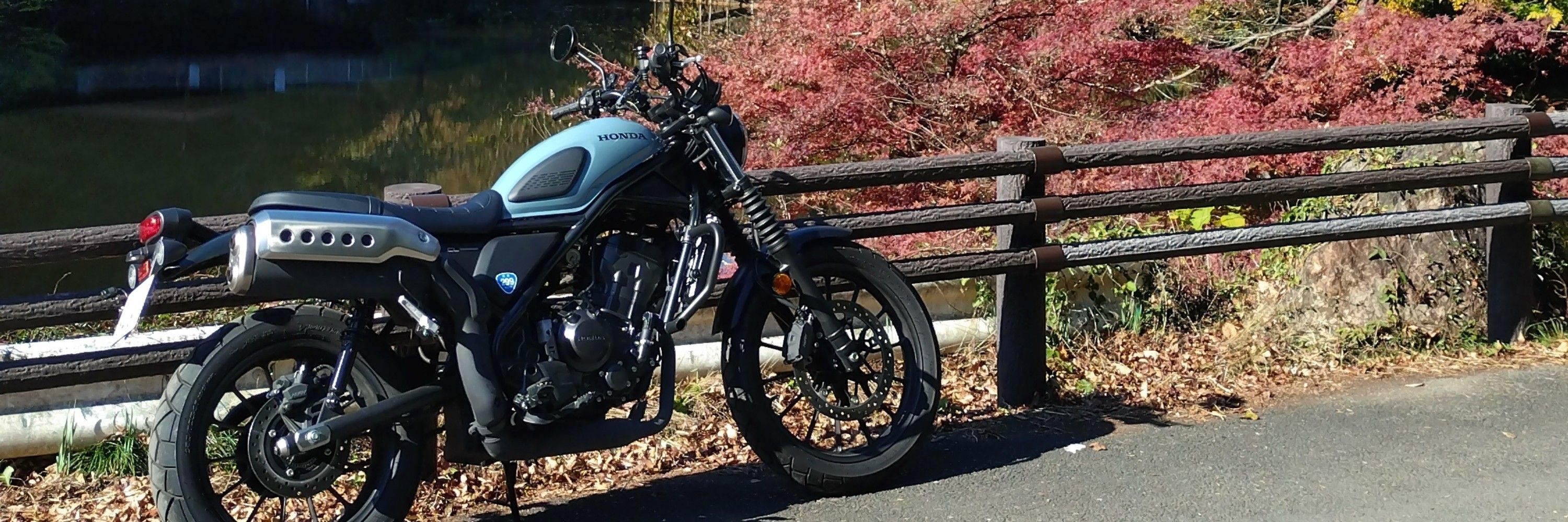 れふ太 R299さかのぼりらいだー