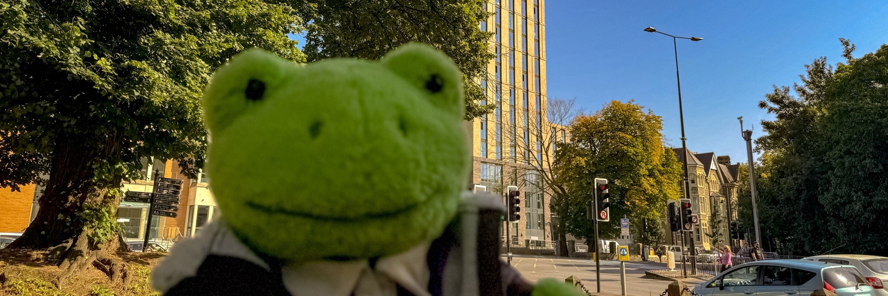 frankie frog