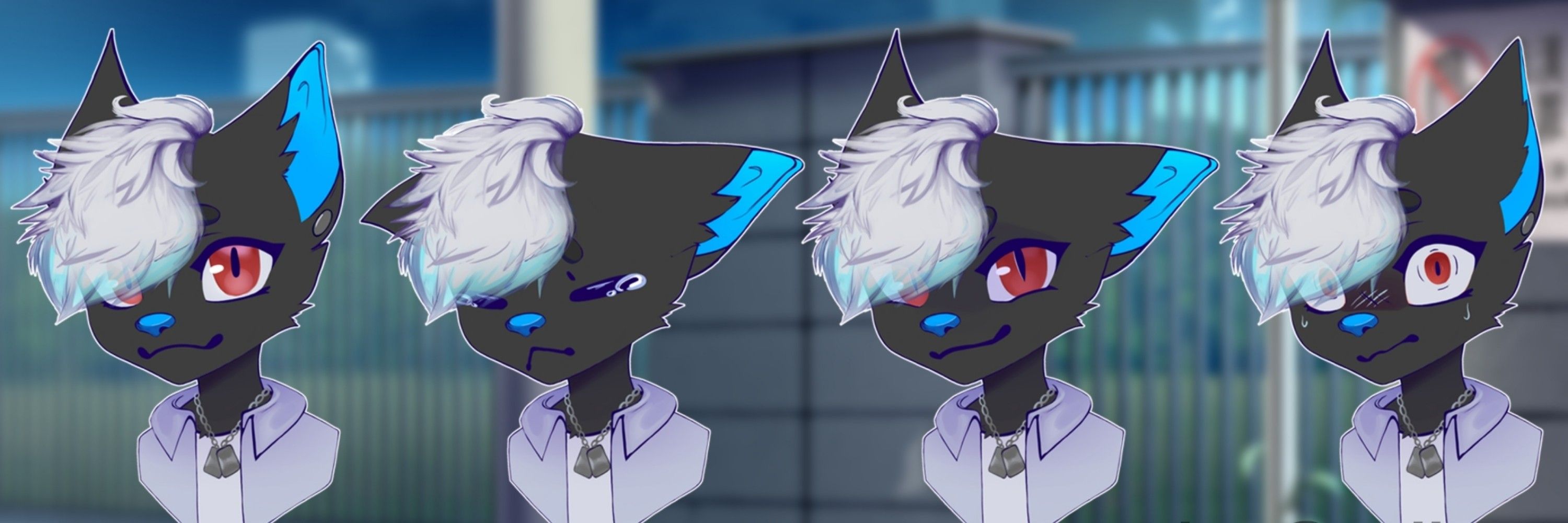 DamienTheBlackcat