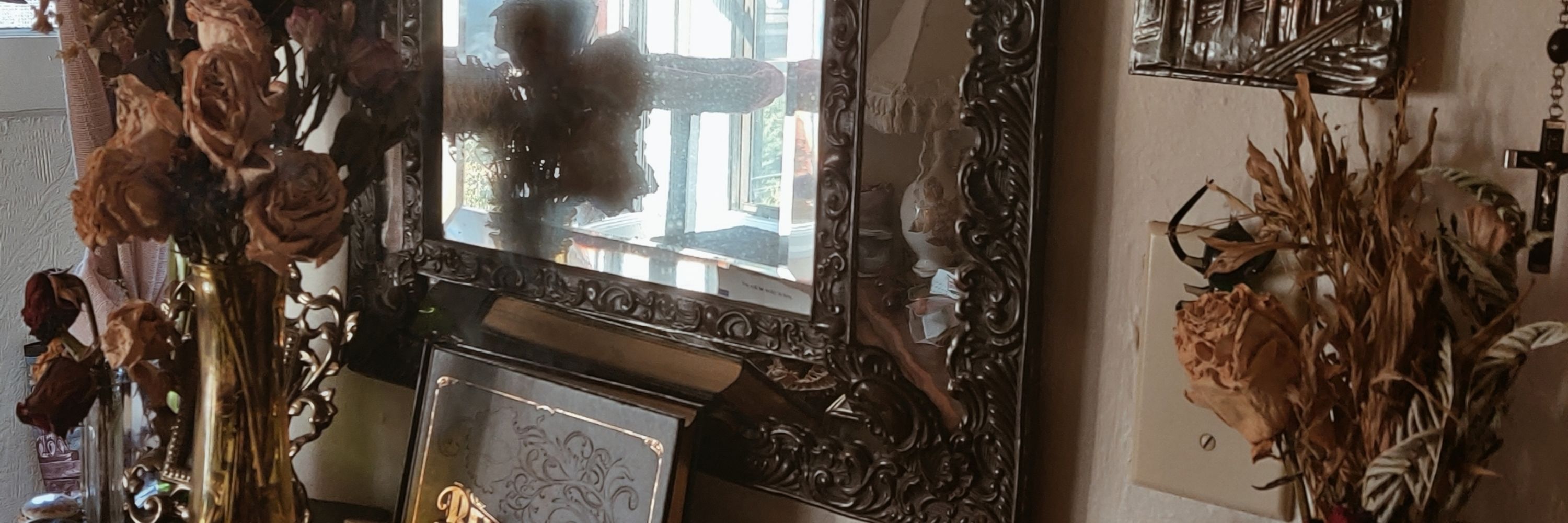 🥀𝕶𝖎𝖙𝖙𝖞