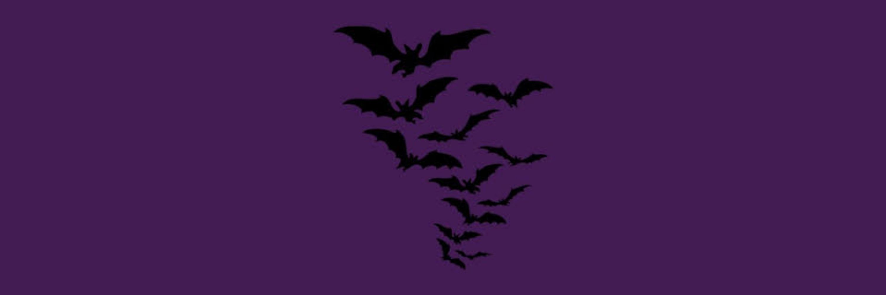 braia 🦇