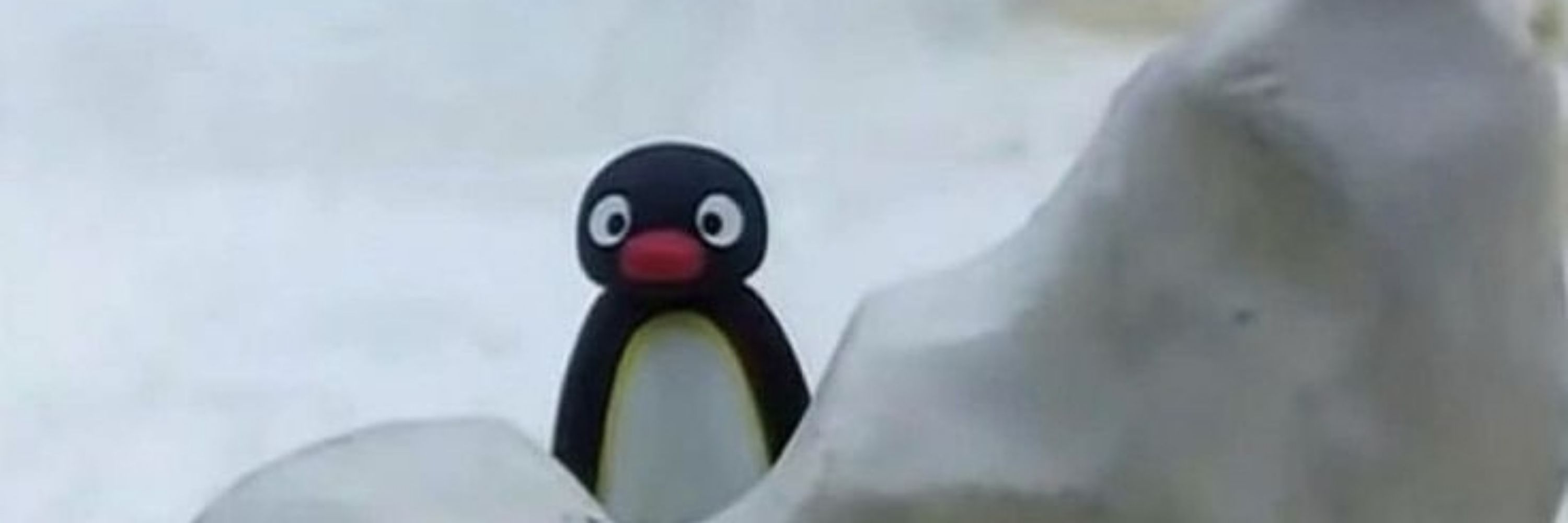 Pingu